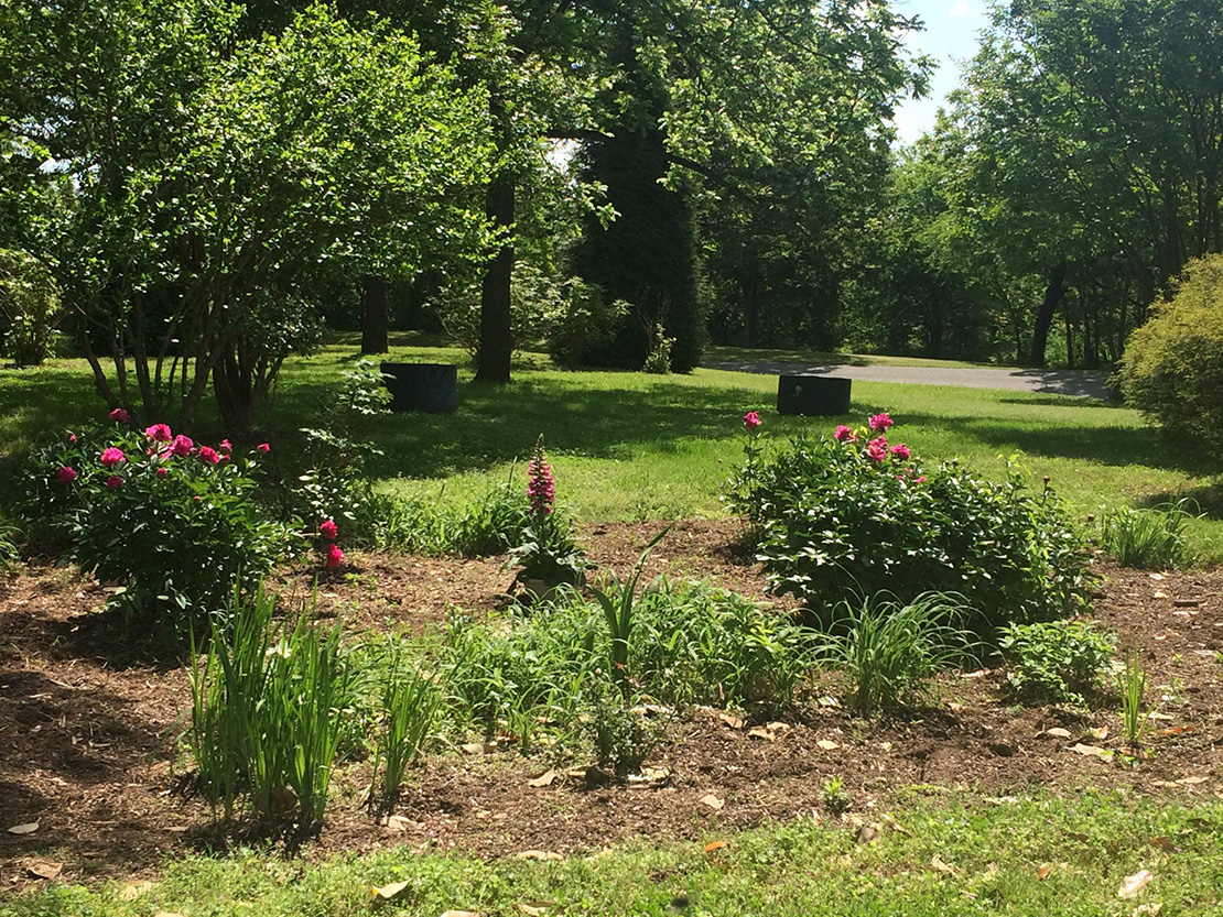 Ampthill Farm Virginia